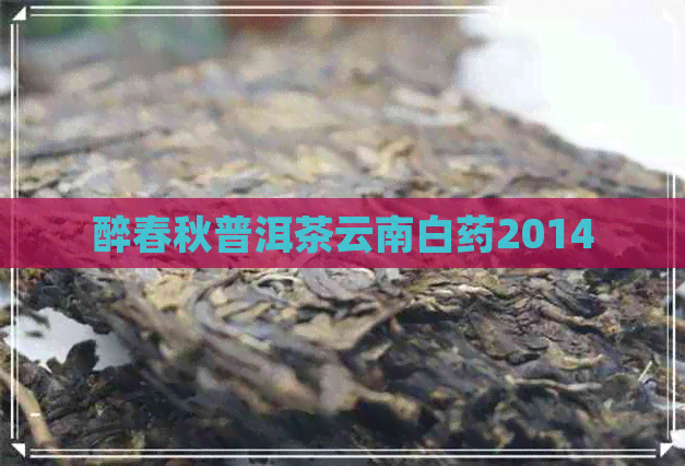 醉春秋普洱茶云南白药2014