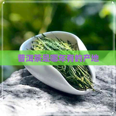 普洱茶是哪年有的产地