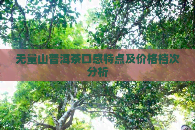 无量山普洱茶口感特点及价格档次分析