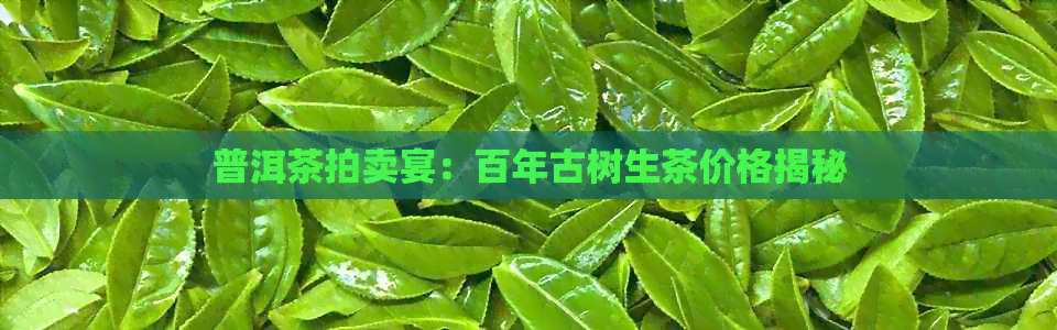 普洱茶拍卖宴：百年古树生茶价格揭秘