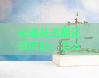 安逸花逾期还款问题：怎么回事？会被起诉吗？真还不上怎么办？