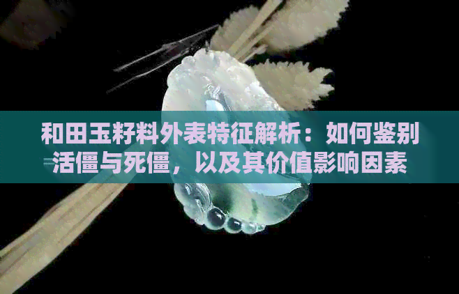 和田玉籽料外表特征解析：如何鉴别活僵与死僵，以及其价值影响因素