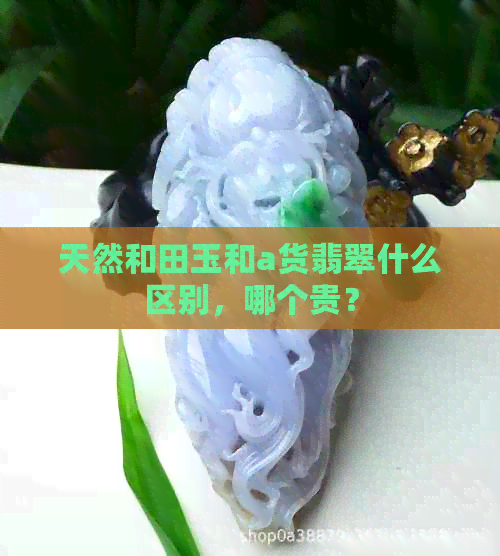 天然和田玉和a货翡翠什么区别，哪个贵？