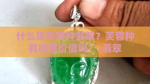 什么是芙蓉种翡翠？芙蓉种有收藏价值吗？-翡翠