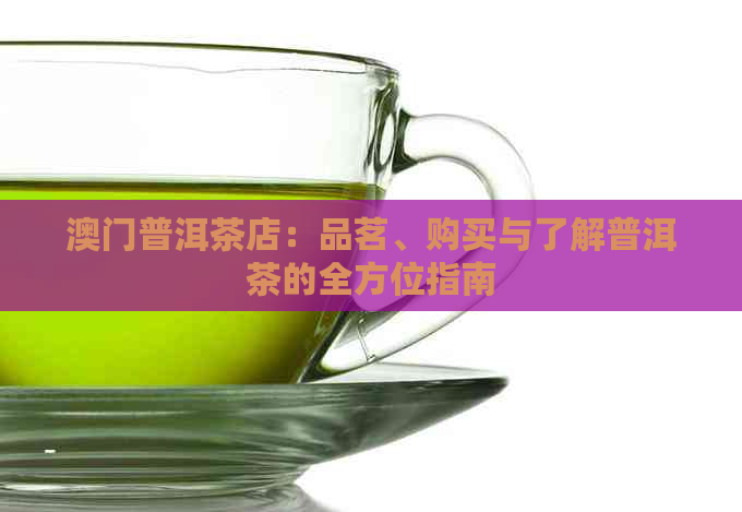 普洱茶店：品茗、购买与了解普洱茶的全方位指南