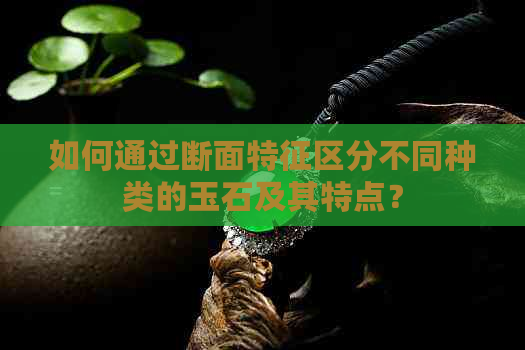 如何通过断面特征区分不同种类的玉石及其特点？