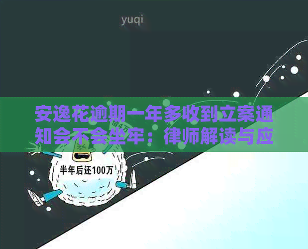 安逸花逾期一年多收到立案通知会不会坐牢：律师解读与应对策略