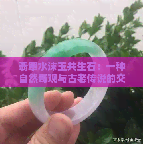 翡翠水沫玉共生石：一种自然奇观与古老传说的交织