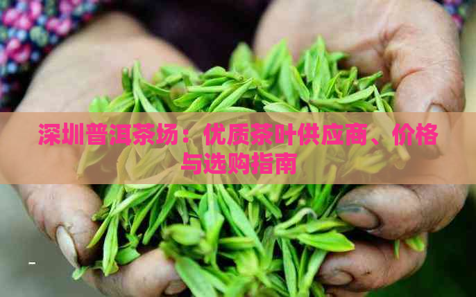 深圳普洱茶场：优质茶叶供应商、价格与选购指南