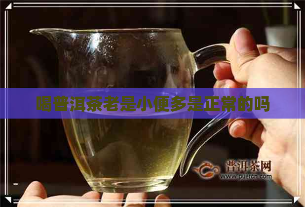 喝普洱茶老是小便多是正常的吗