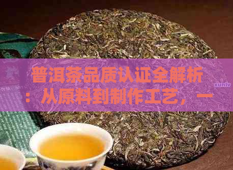 普洱茶品质认证全解析：从原料到制作工艺，一应俱全的品质保障