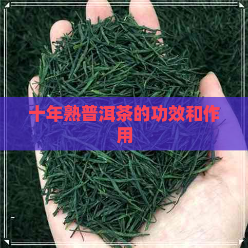 十年熟普洱茶的功效和作用