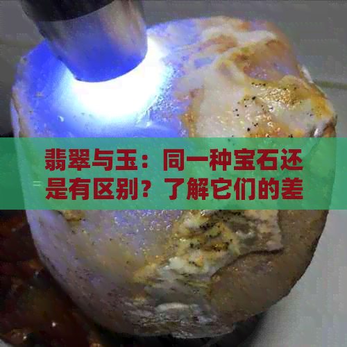 翡翠与玉：同一种宝石还是有区别？了解它们的差异和特点