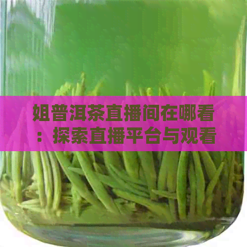 姐普洱茶直播间在哪看：探索直播平台与观看方式