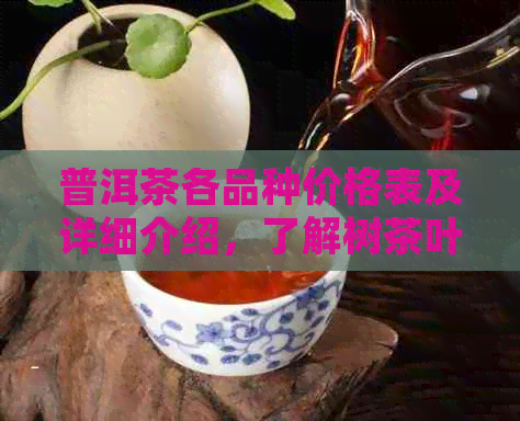 普洱茶各品种价格表及详细介绍，了解树茶叶的性价比与品质