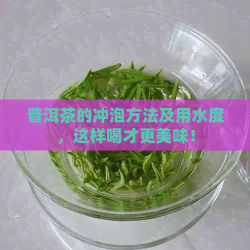 普洱茶的冲泡方法及用水度，这样喝才更美味！