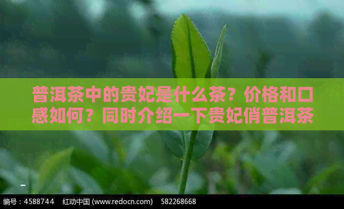 普洱茶中的贵妃是什么茶？价格和口感如何？同时介绍一下贵妃俏普洱茶。