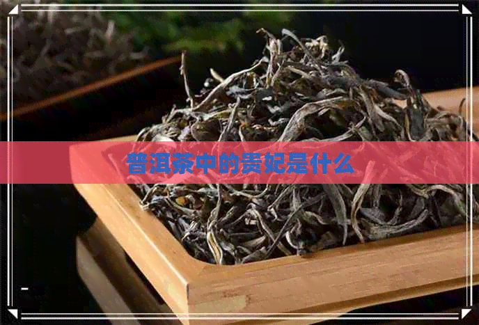 普洱茶中的贵妃是什么