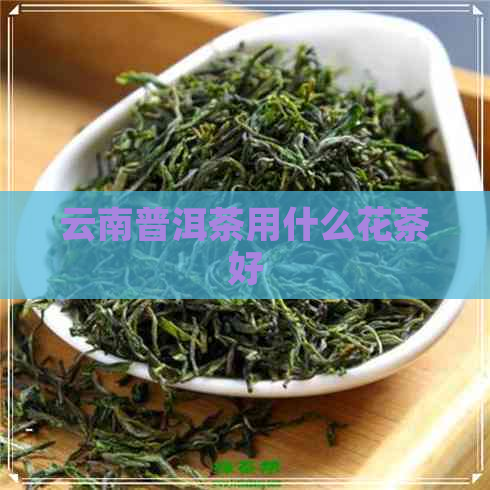 云南普洱茶用什么花茶好