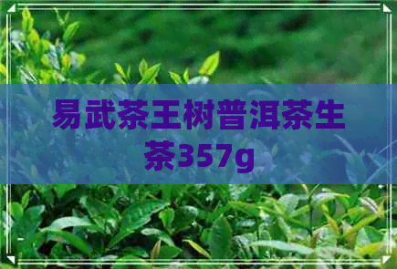 易武茶王树普洱茶生茶357g