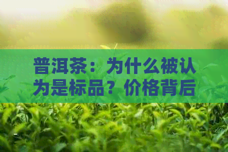 普洱茶：为什么被认为是标品？价格背后的原因解析及其它你可能关心的问题