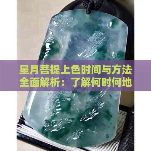 星月菩提上色时间与方法全面解析：了解何时何地涂抹颜色以获得更佳效果