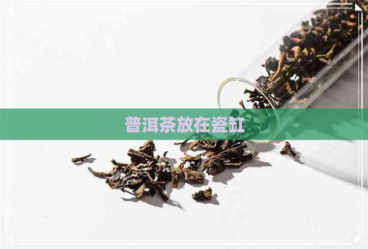 普洱茶放在瓷缸