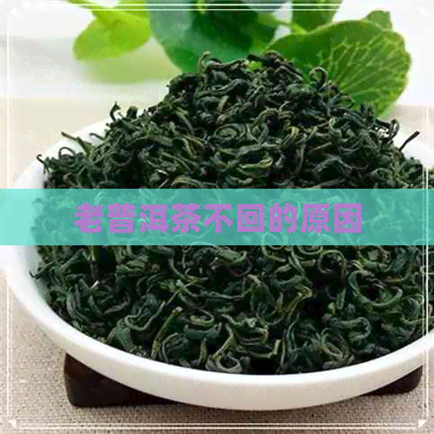 老普洱茶不回的原因