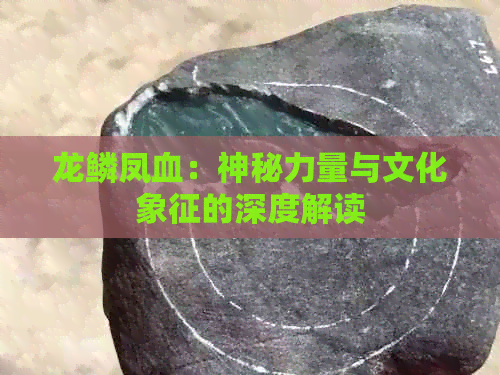 龙鳞凤血：神秘力量与文化象征的深度解读