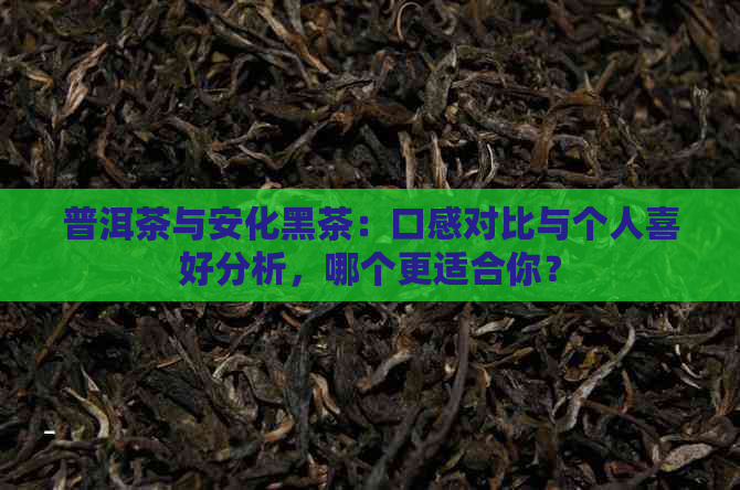 普洱茶与安化黑茶：口感对比与个人喜好分析，哪个更适合你？