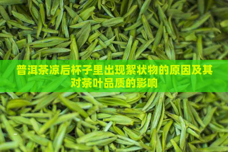 普洱茶凉后杯子里出现絮状物的原因及其对茶叶品质的影响