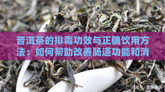 普洱茶的排功效与正确饮用方法：如何帮助改善肠道功能和消化系统健？