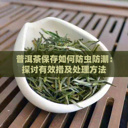 普洱茶保存如何防虫防潮：探讨有效措及处理方法