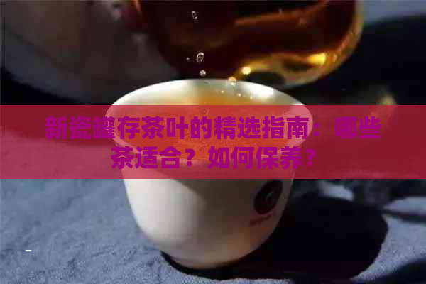 新瓷罐存茶叶的精选指南：哪些茶适合？如何保养？