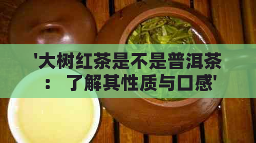 '大树红茶是不是普洱茶： 了解其性质与口感'