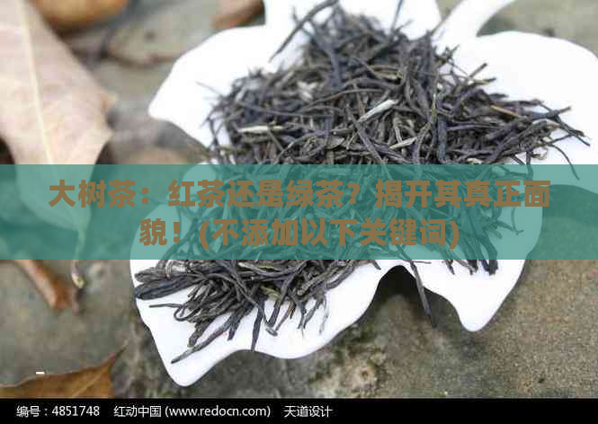 大树茶：红茶还是绿茶？揭开其真正面貌！(不添加以下关键词)