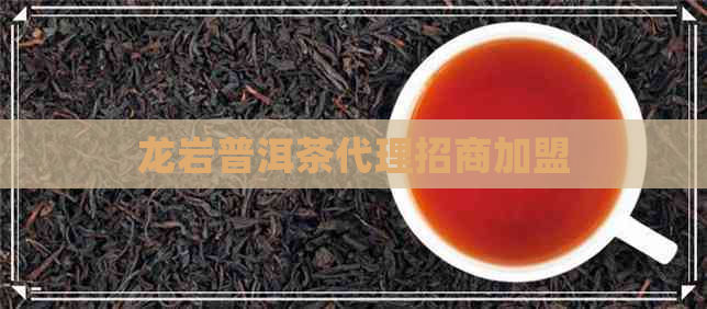 龙岩普洱茶代理招商加盟