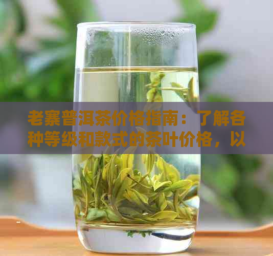 老寨普洱茶价格指南：了解各种等级和款式的茶叶价格，以及购买建议