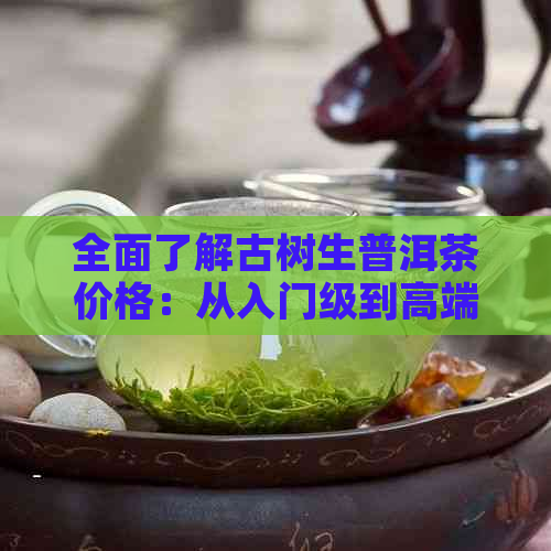 全面了解古树生普洱茶价格：从入门级到高端品种一应俱全的价格表