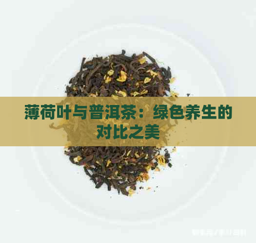 薄荷叶与普洱茶：绿色养生的对比之美