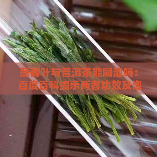 薄荷叶与普洱茶能同泡吗： 百度百科揭示两者功效及泡法