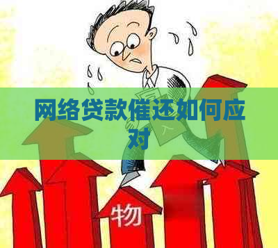 网络贷款催还如何应对