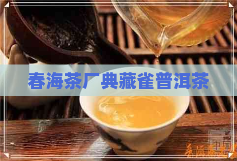 春海茶厂典藏雀普洱茶