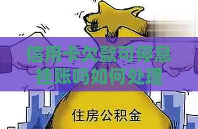 信用卡欠款可停息挂账吗如何处理