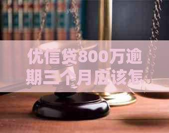 优信贷800万逾期三个月应该怎么处理