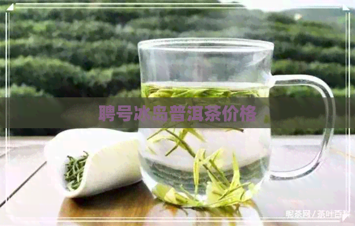 聘号冰岛普洱茶价格