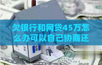 欠银行和网贷45万怎么办可以自己协商还款吗