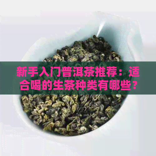 新手入门普洱茶推荐：适合喝的生茶种类有哪些？