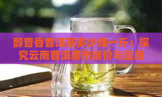 醇普香普洱茶多少钱一斤：探究云南普洱茶市场价与品质关系