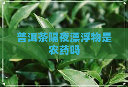 普洱茶隔夜漂浮物是农药吗